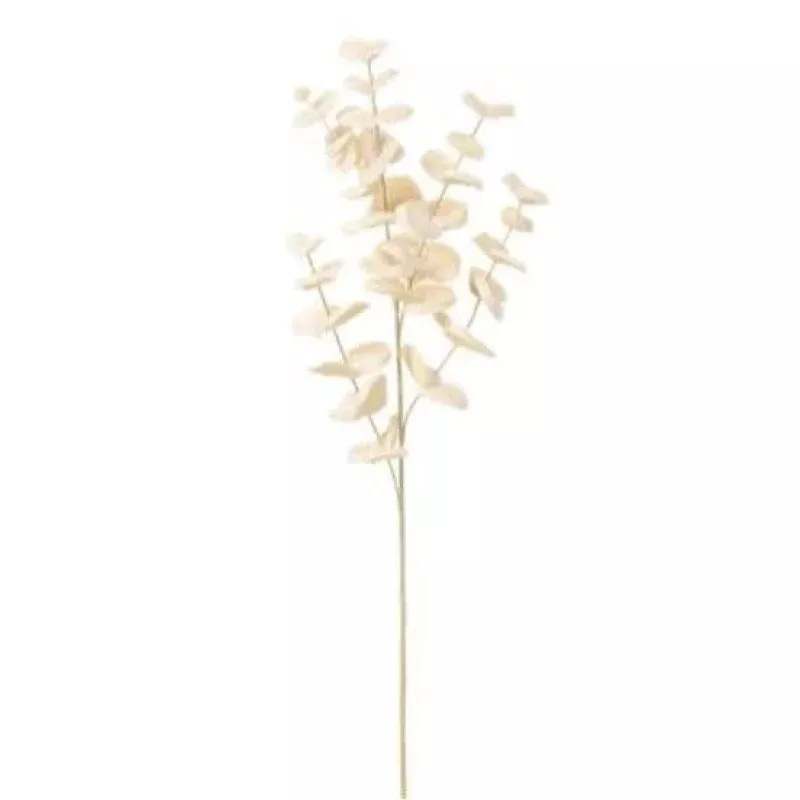 34Fur Eucalyptus Leaf Spray – Cream