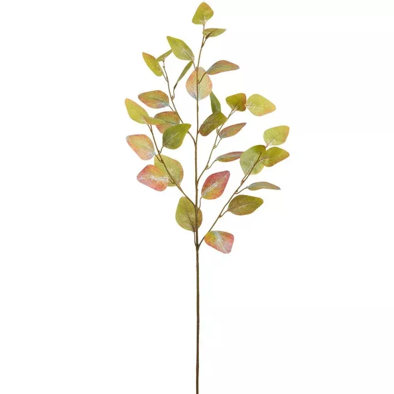 35 Eucalyptus Leaf Spray Green