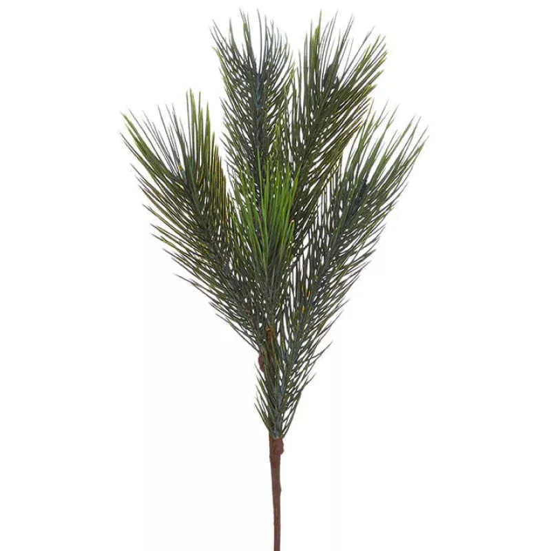 38 Pine Spray