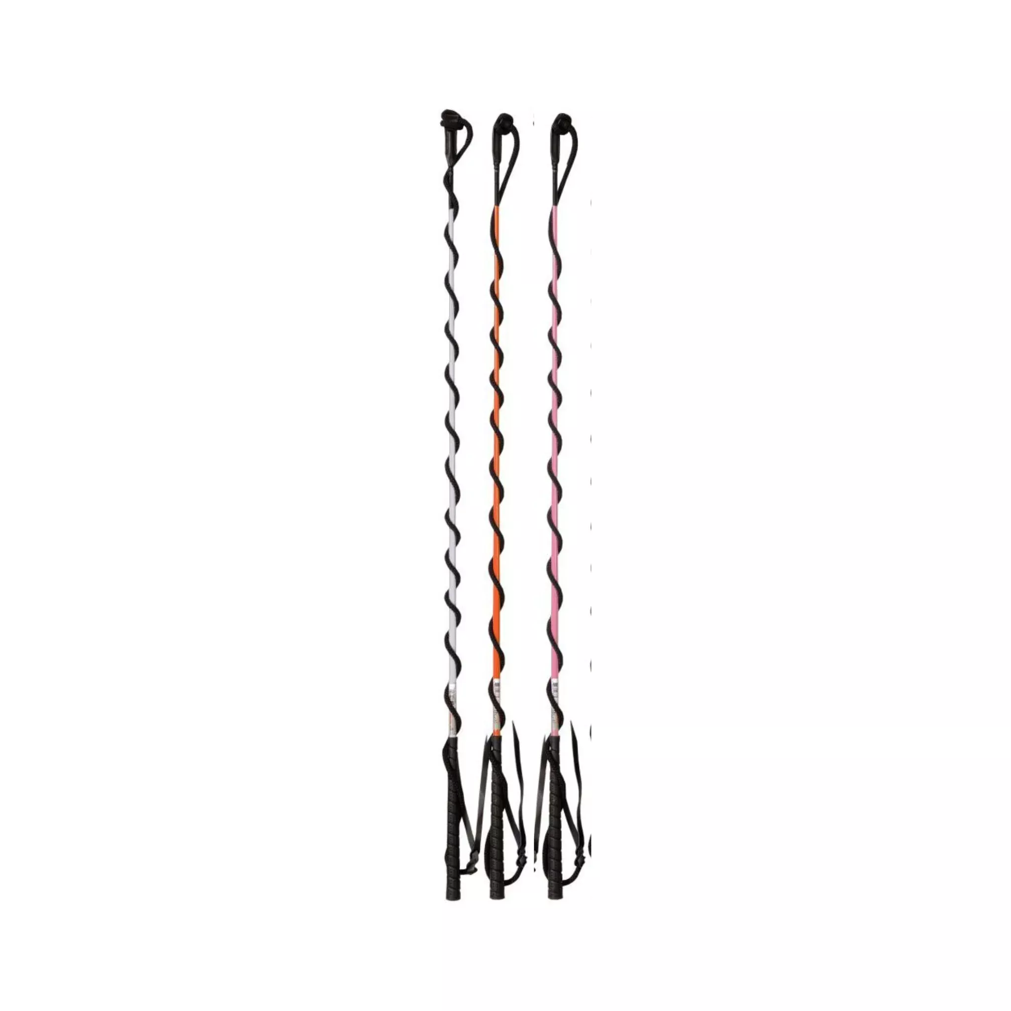 4′ Training Whip with 5′ Lash