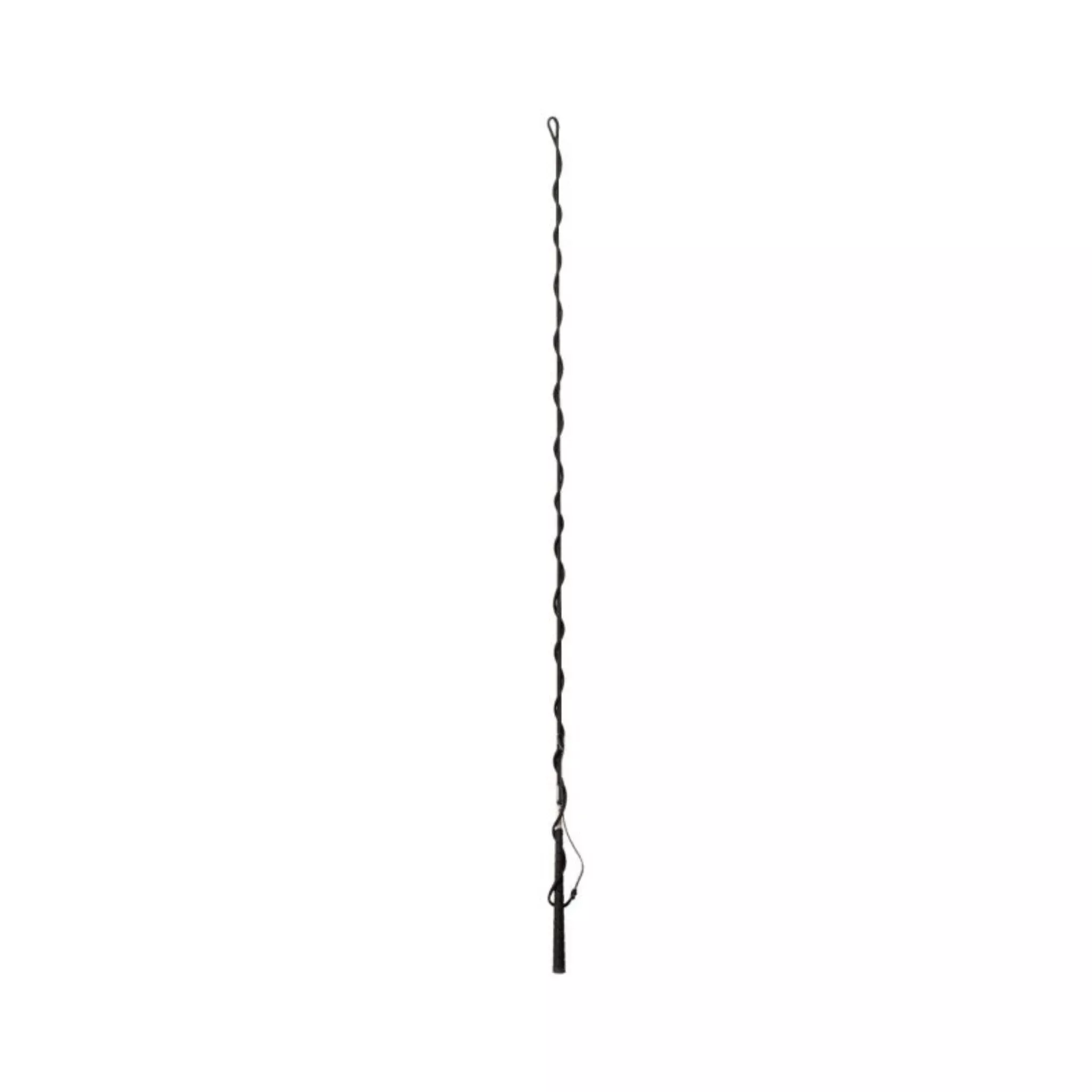 5′ Lunge Whip