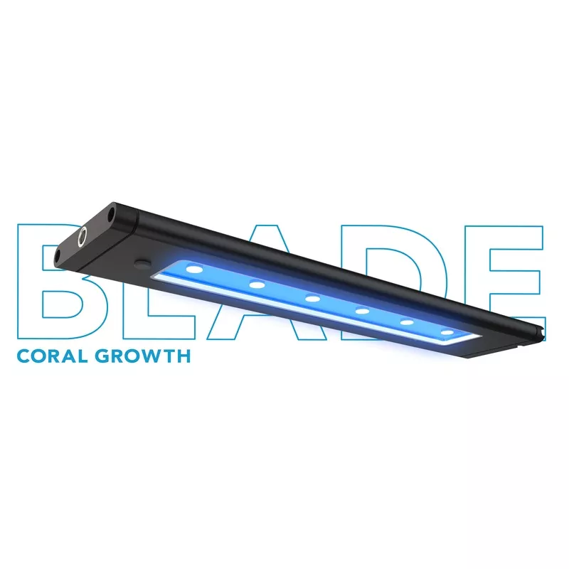 Ai Blade Coral Growth 66″