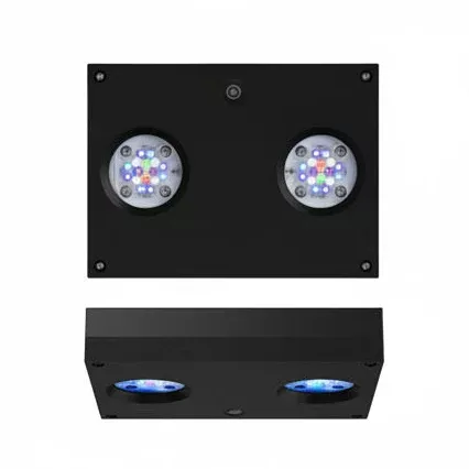 AI HYDRA 32HD – BLACK