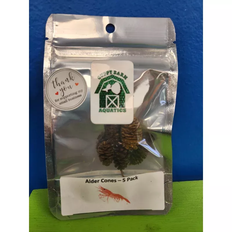 Alder Cones – 5 Pack