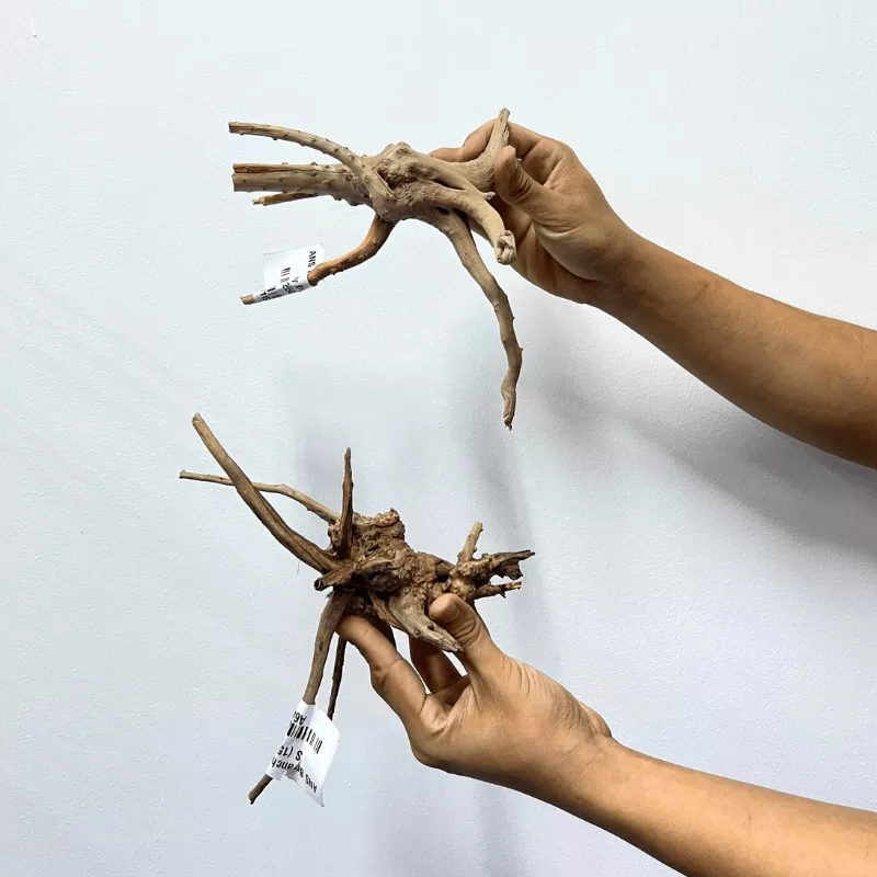 ANS Branchy DriftwoodS (15-25cm)