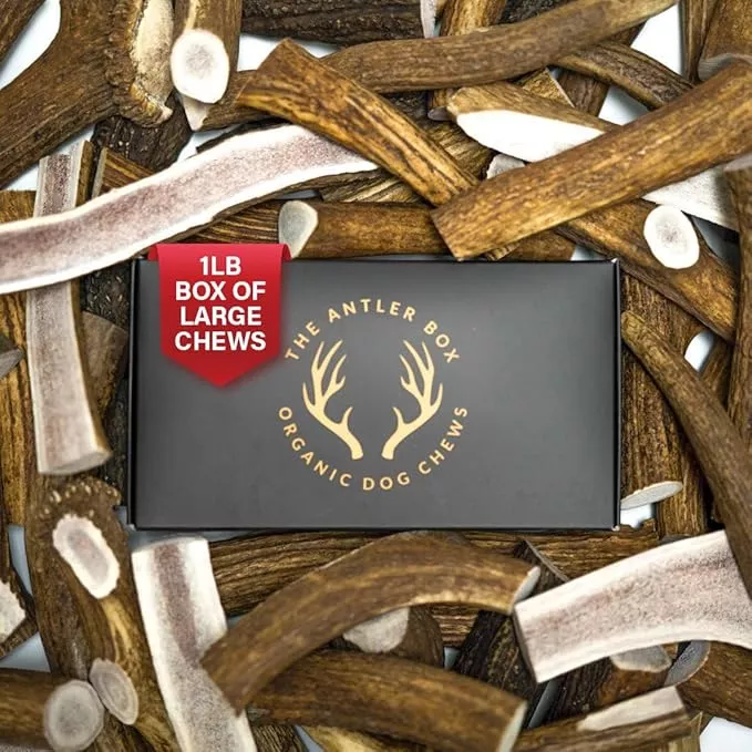 The Antler Box Premium Elk Antler Dog Chews (1 Pound Box) (Large (3 Pieces) Split Only)