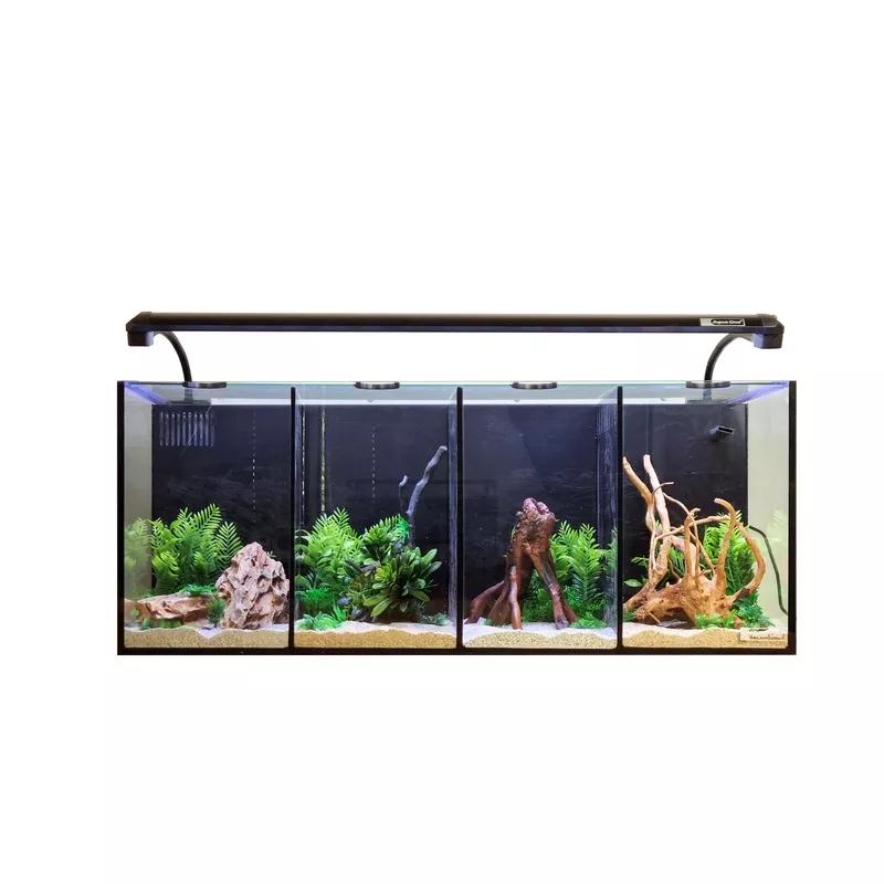 Aqua One Betta quad aquarium