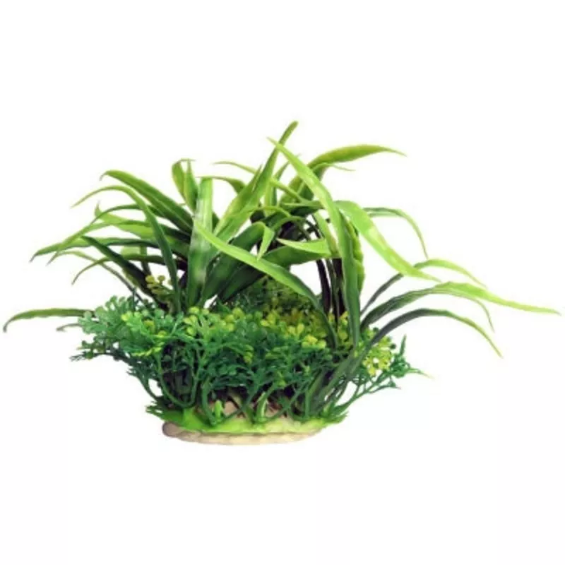 AQUA ONE ECOSCAPE SMALL CRINUM GREEN