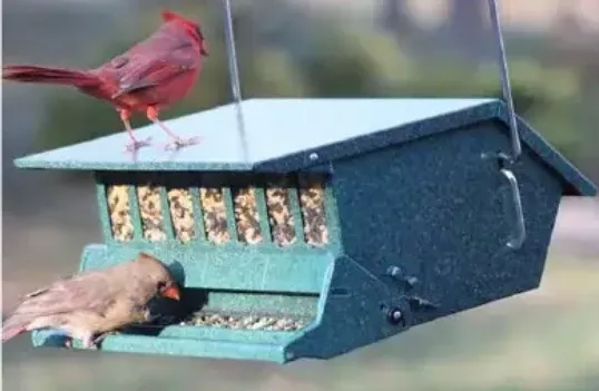 Audubon Original Bird’s Delight Squirrel-Resistant Feeder