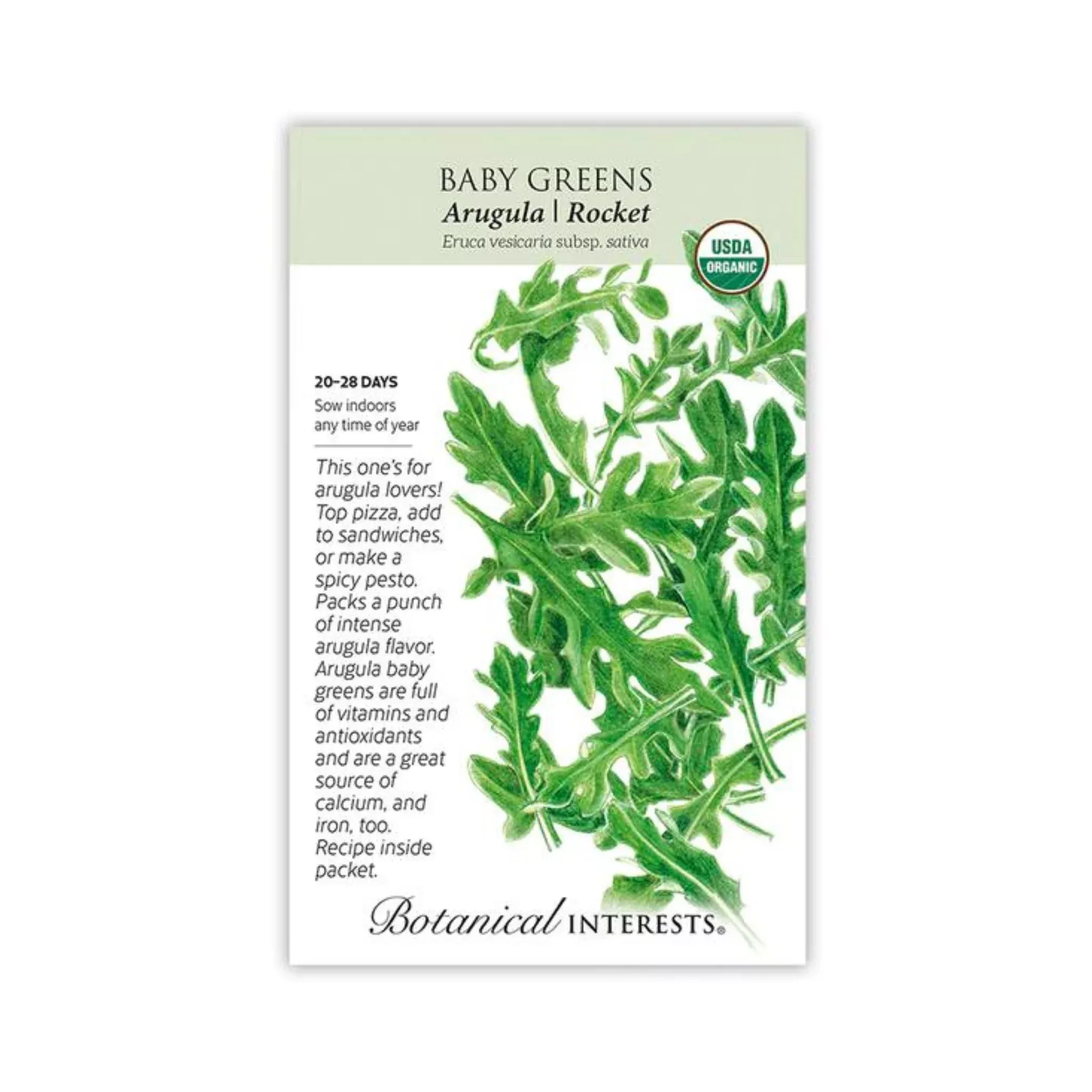 Baby Greens Arugula Organic
