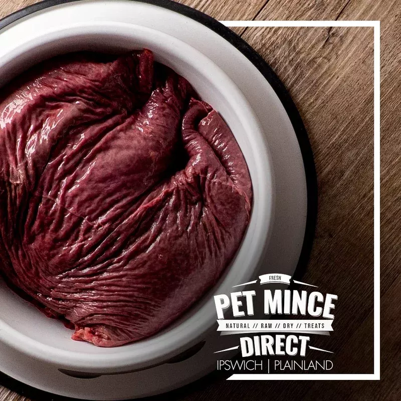 BEEF SPLEEN