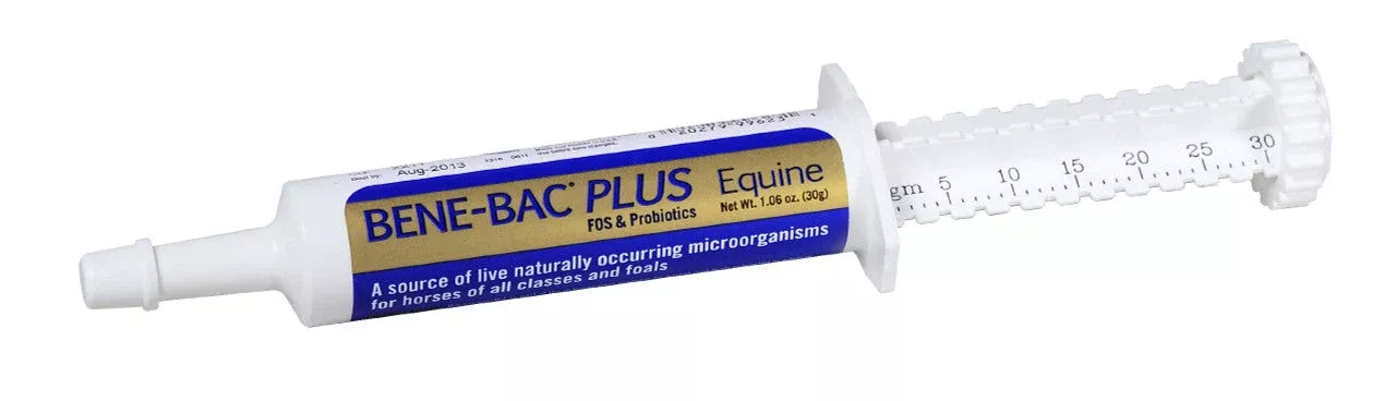 Bene-Bac Plus Equine Gel