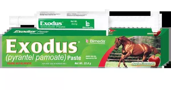 Bimeda Exodus Paste (pyrantel pamoate)