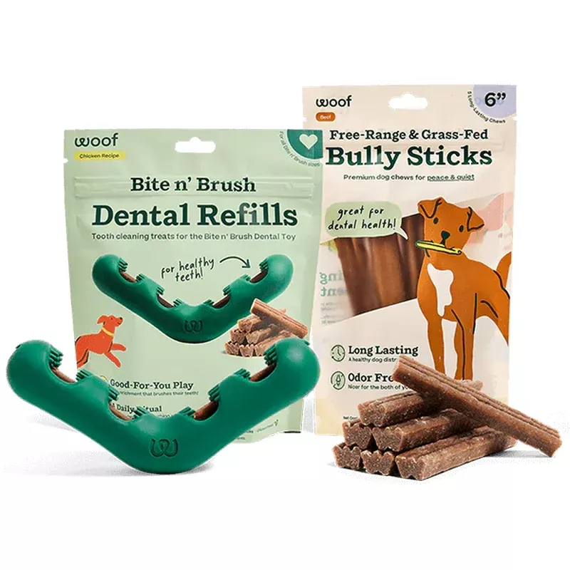 The Bite n Brush Summer Breath Pack