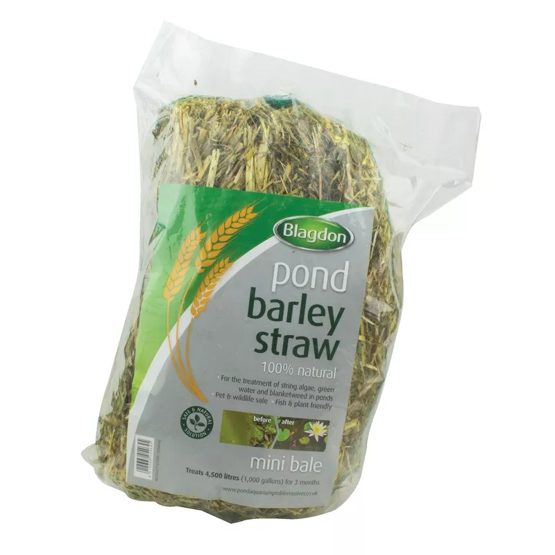 Blagdon pond mini bale