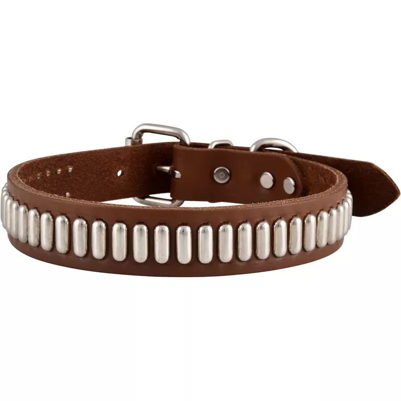 Bully Leather Brown Dog Collar with Oblong Studs, 1″W x 23″L