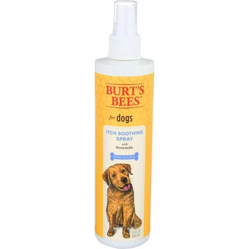 BURTS BEES: Itch Soothing Spray, 10 fo (Case of 3)