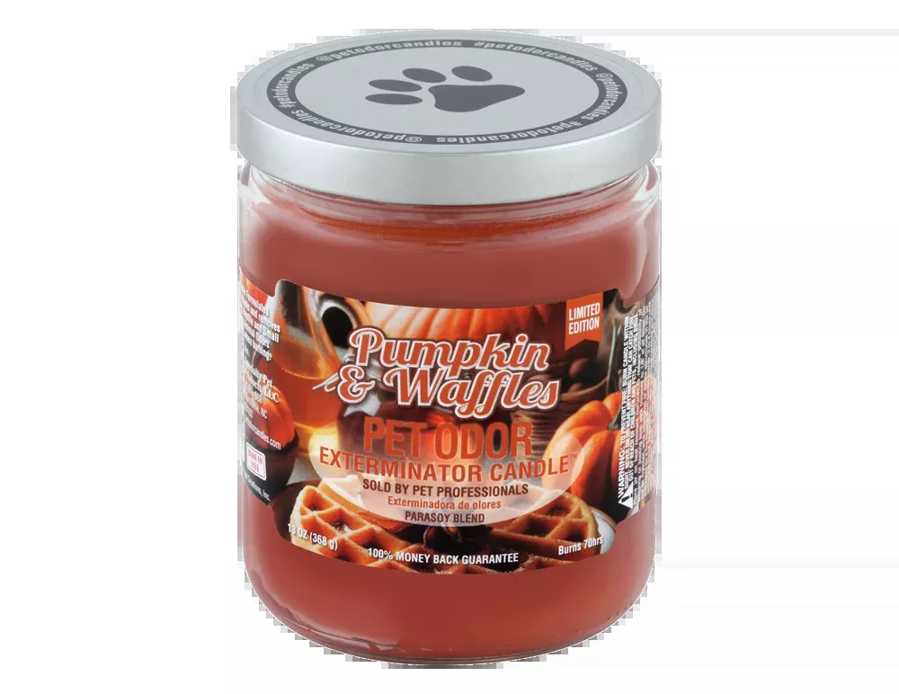 Candle Pumpkin & Waffles 13oz