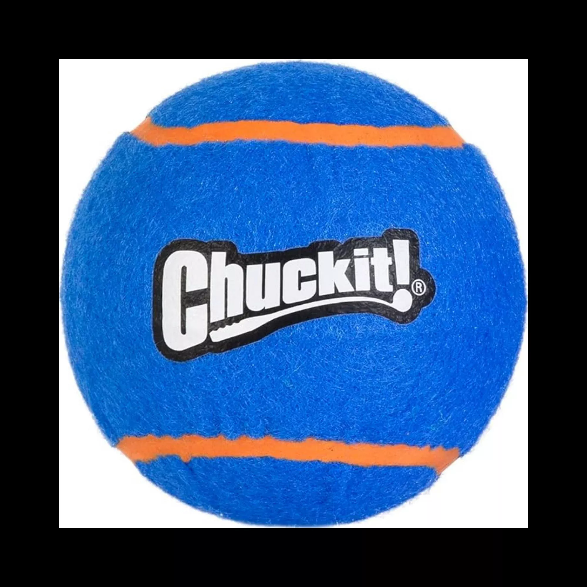 ChuckIt! Squeaker Tennis Ball