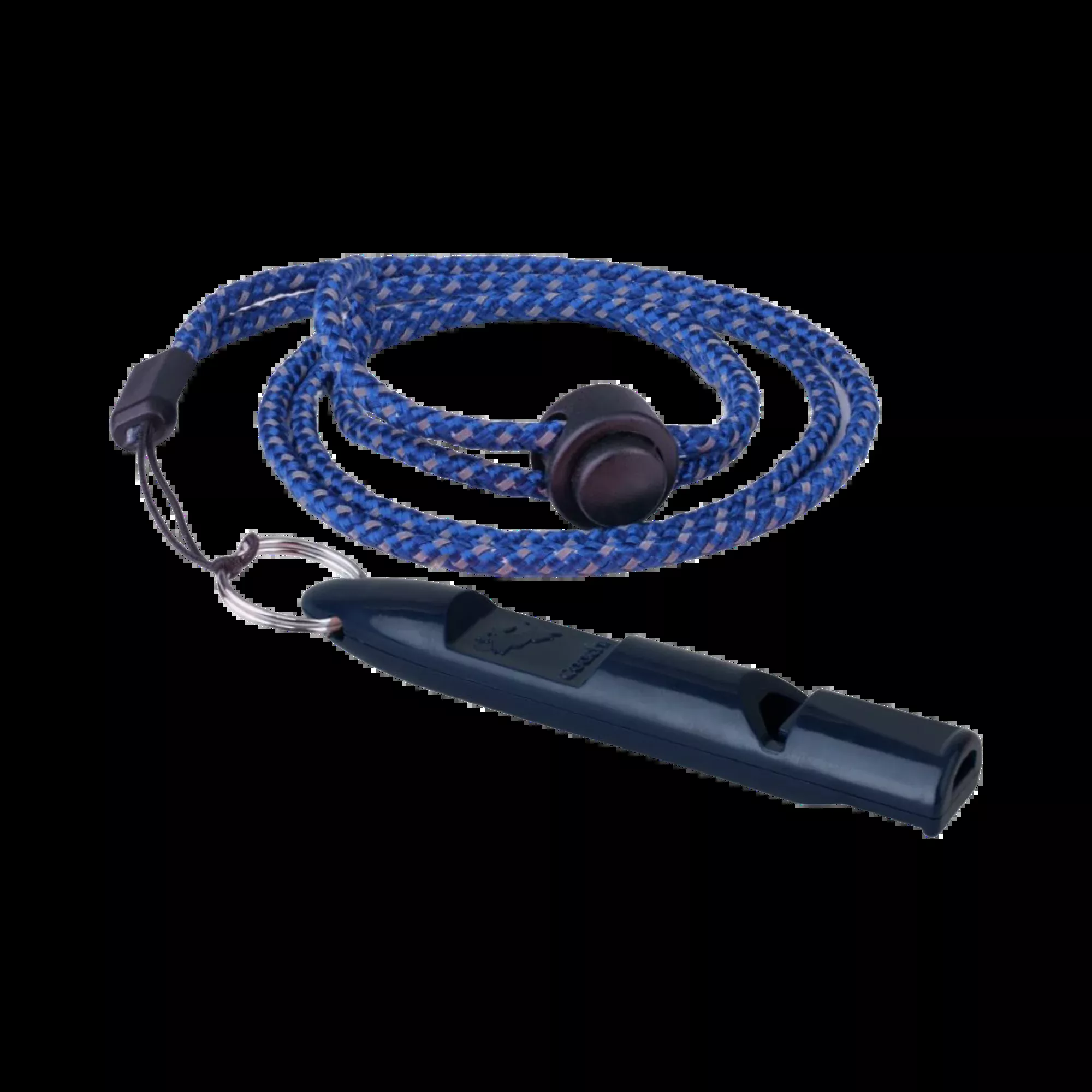 Coachi Training Whistle
