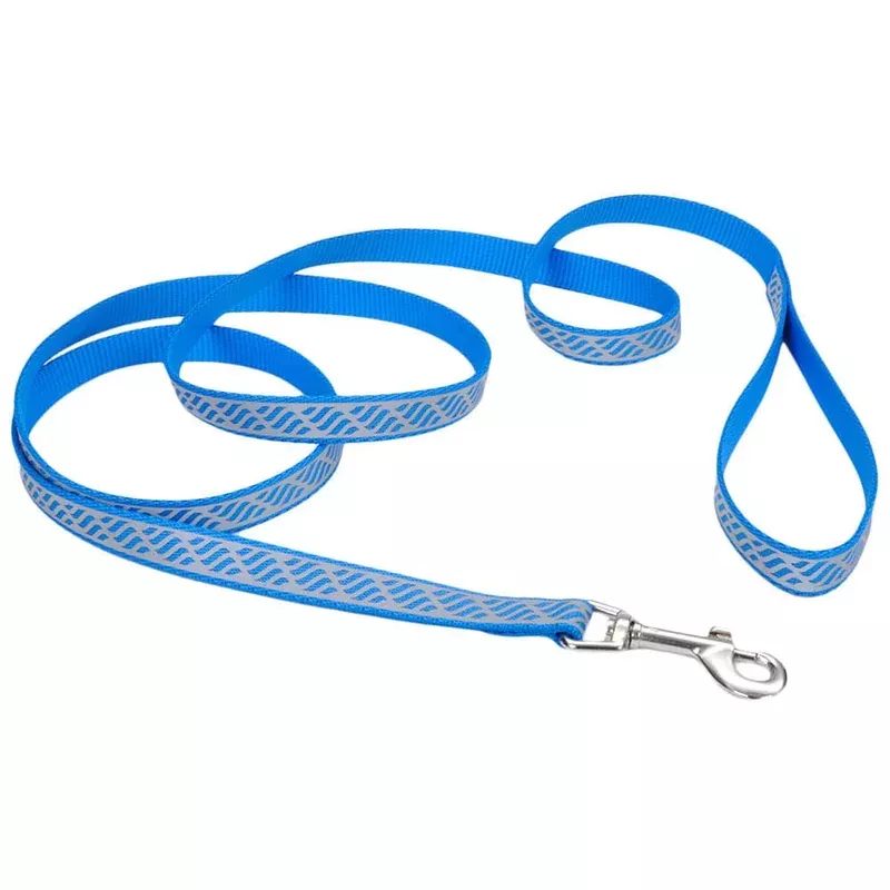 Coastal Pet Lazer Brite Dog Leash, 6′ x 1″