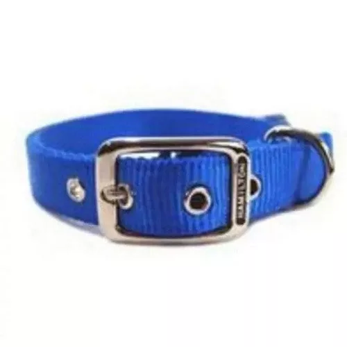 Collar Single Thick 5/8" 12" Blue 2 Count by Hamilton