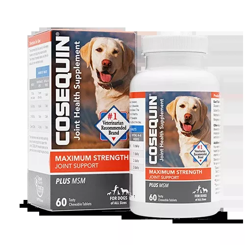 COSEQUIN Maximum Strength Plus MSM Chewable Tablets