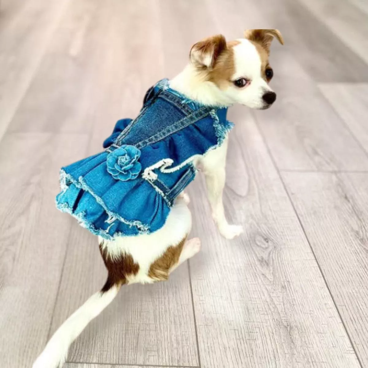Denim Rose Harness Dress