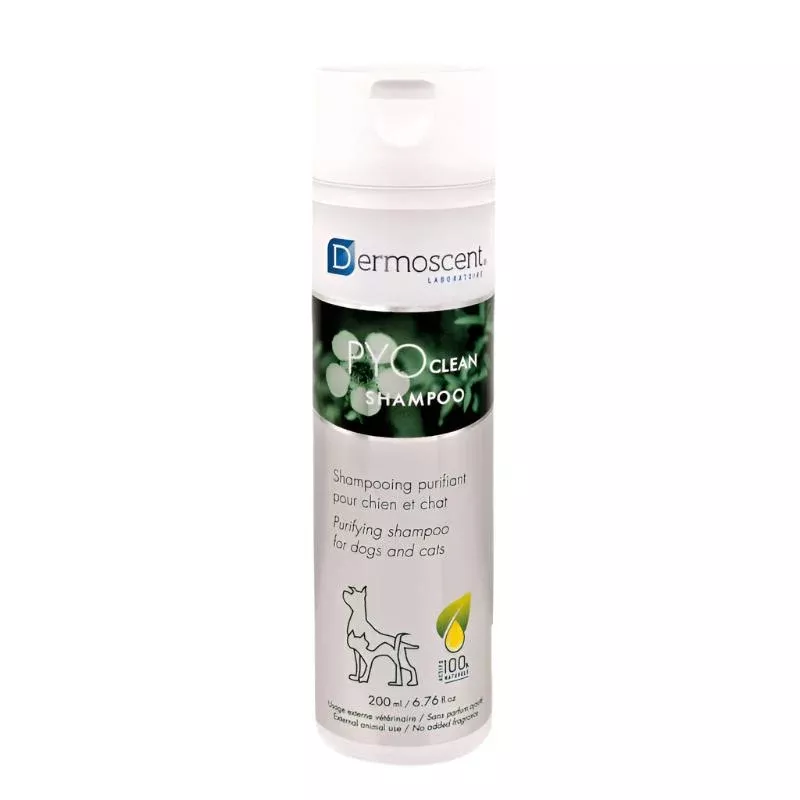 Dermoscent PYO Clean Shampoo