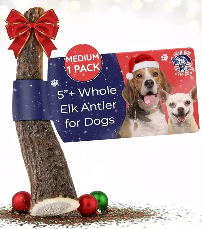 Devil Dog Pet Co. Elk Antlers for Dogs, Medium 5″+, 1 Pack, Grade A Long Lasting Chew for Aggressive Chewers, Premium USA Naturally Shed Antler – Healthy, No Odor, Durable Dog Chew