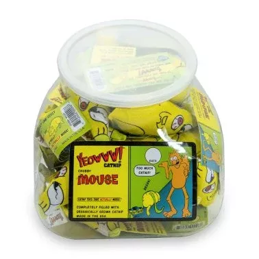Ducky World Yeowww! Jug with Chubby Mice Cat Toy