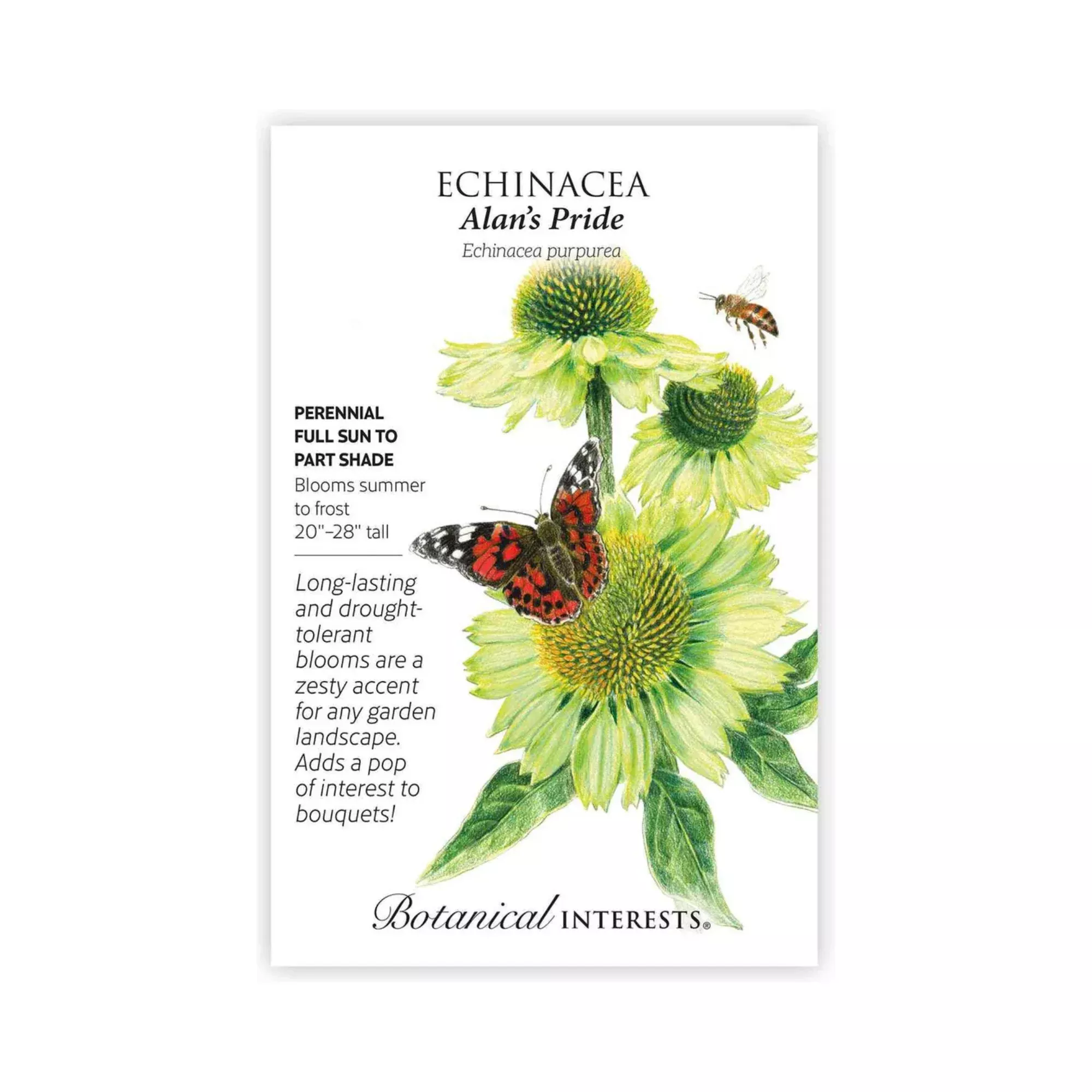 Echinacea Alan's Pride