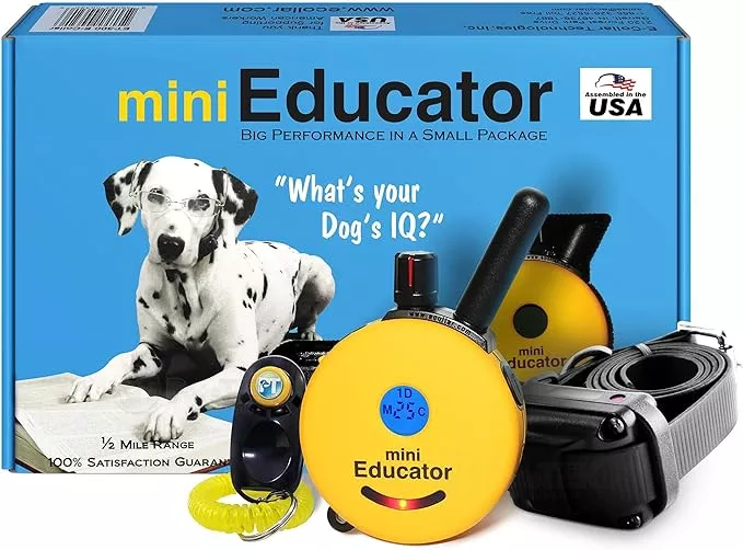Educator ET-300 Mini E Collar for Dog Training with Remote – 1/2 Mile Range, Waterproof, 100 Blunt Stimulation Levels, Tone or Vibration Mode, Night Light Tracking for Small, Medium & Large Dogs