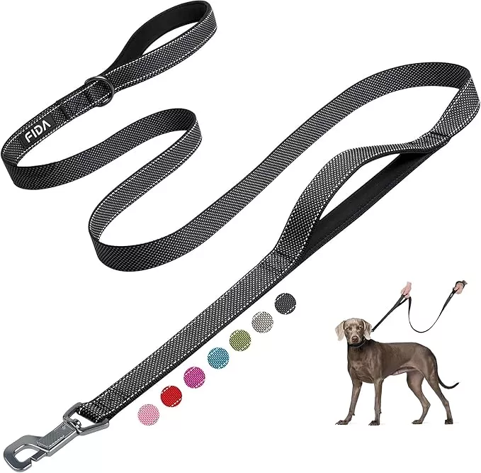 Fida 6 FT Heavy Duty Dog Leash with 2 Comfortable Padded Handles, Traffic Handle & Advanced Easy Snap Hook, Reflective Walking Lead for Large, Medium & Small Breed Dogs, Blue