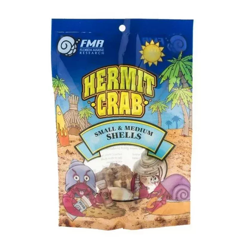 Florida Marine Research, Florida Marine Research Natural Shell Terrarium Ornament, Multi-Color,3 Pack, Medium
