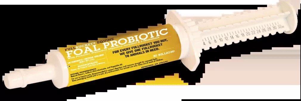FullBucket Equine Foal Probiotic Paste