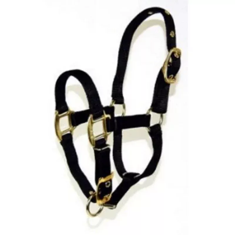 Halter Horse Qlty 11-16 Large 1" Black 1 Each by Hamilton
