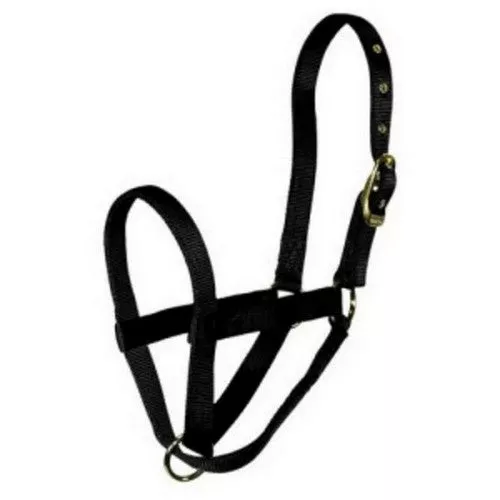 Hamilton, Halter Livest Turn Out Calf Black, 1 Each