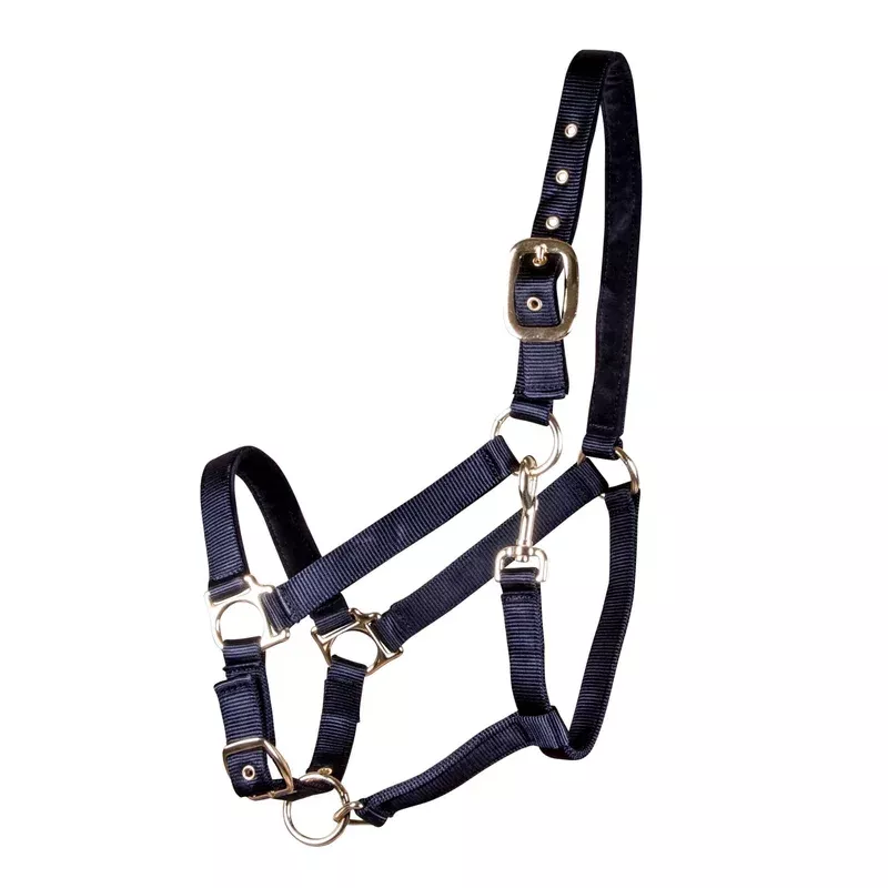Jeffers Adjustable Nylon Horse Halter, Large (900-1200 lb)