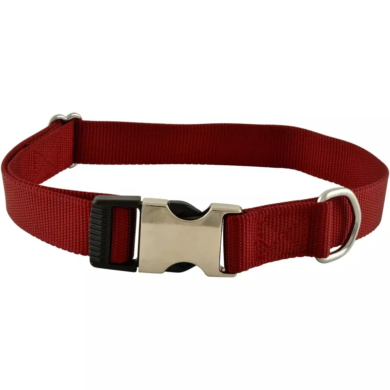 Jeffers Millennium Dog Collar