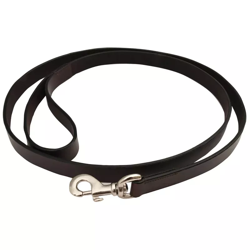 Jeffers Premium Brown Flat Leather Leash, 6′