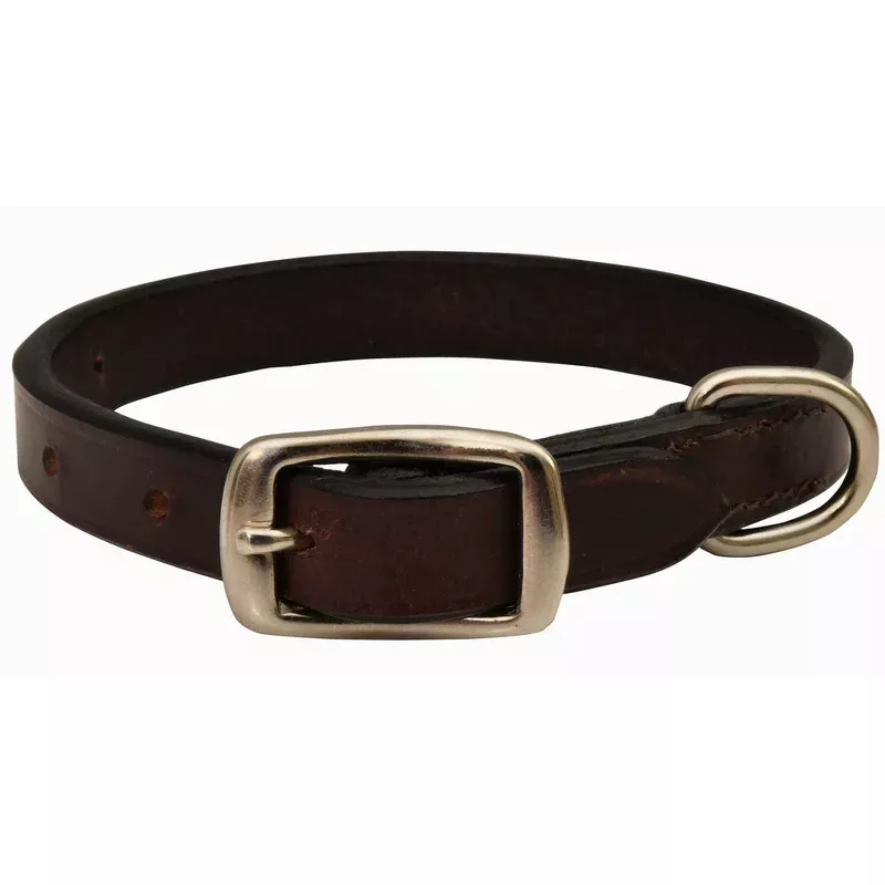 Jeffers Premium Flat Leather Dog Collars