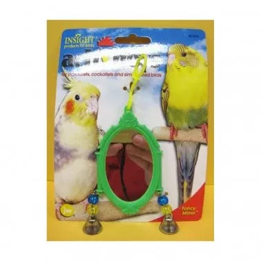 JW Multicolor Fancy Mirror Toy
