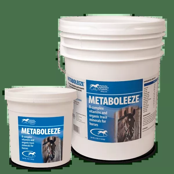 Kentucky Performance Metaboleeze for Horses