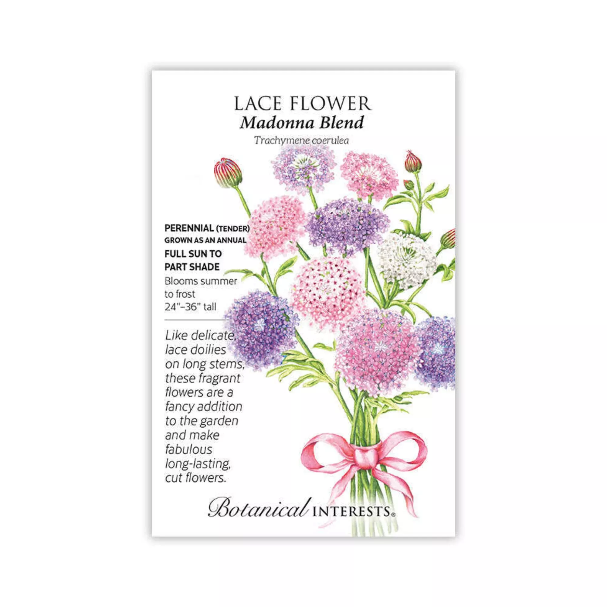 Lace Flower Madonna Blend