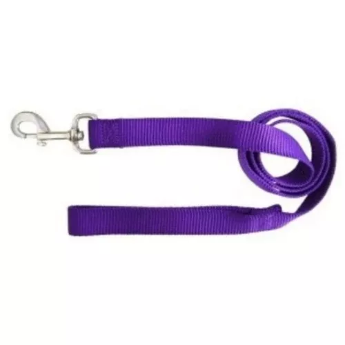 Leash Single Thick 5/8" 6Ft Pu 2 Count by Hamilton