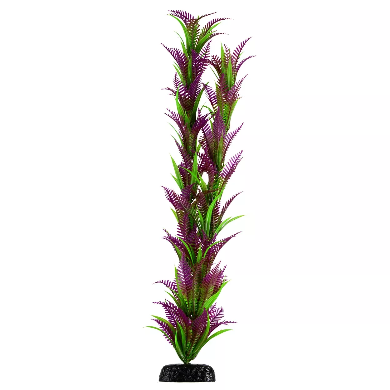 Lonely Heart Fern – 24″ Aquarium Plant