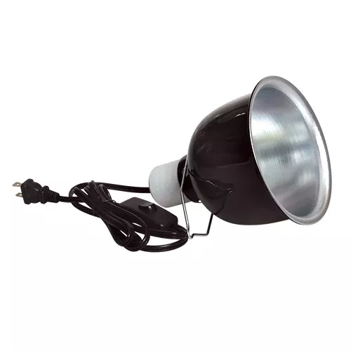 Mini Deep Dome Lamp Fixture – 5.5″