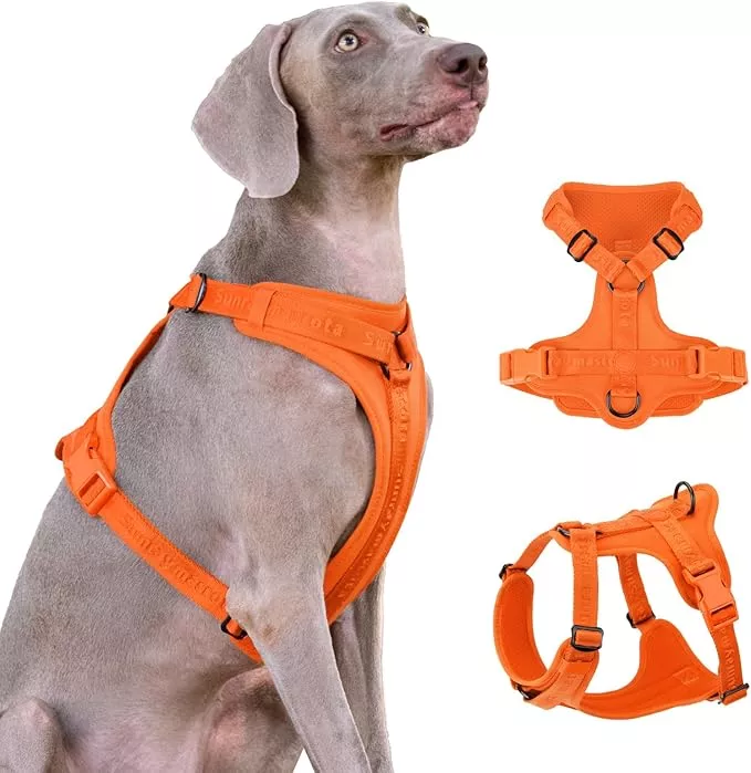 No Pull Dog Harness with Lycra, Three-Point Force Dispersion & 3D Padding, Adjustable Breathable Mesh for Small Medium Large Dogs(Burgundy Red,S)