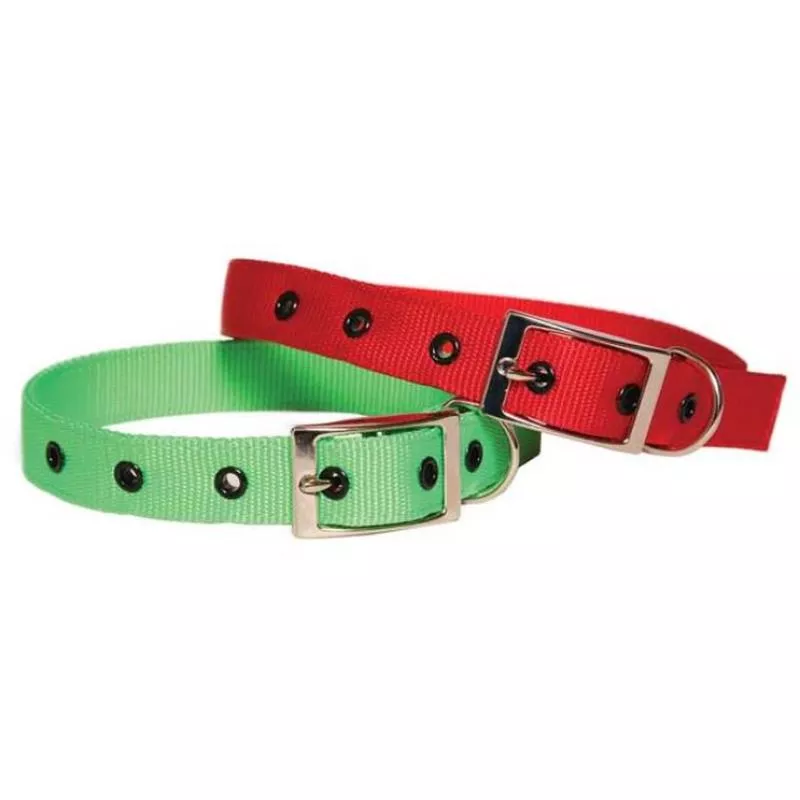 Nylon Collar 25 x 570mm – Red